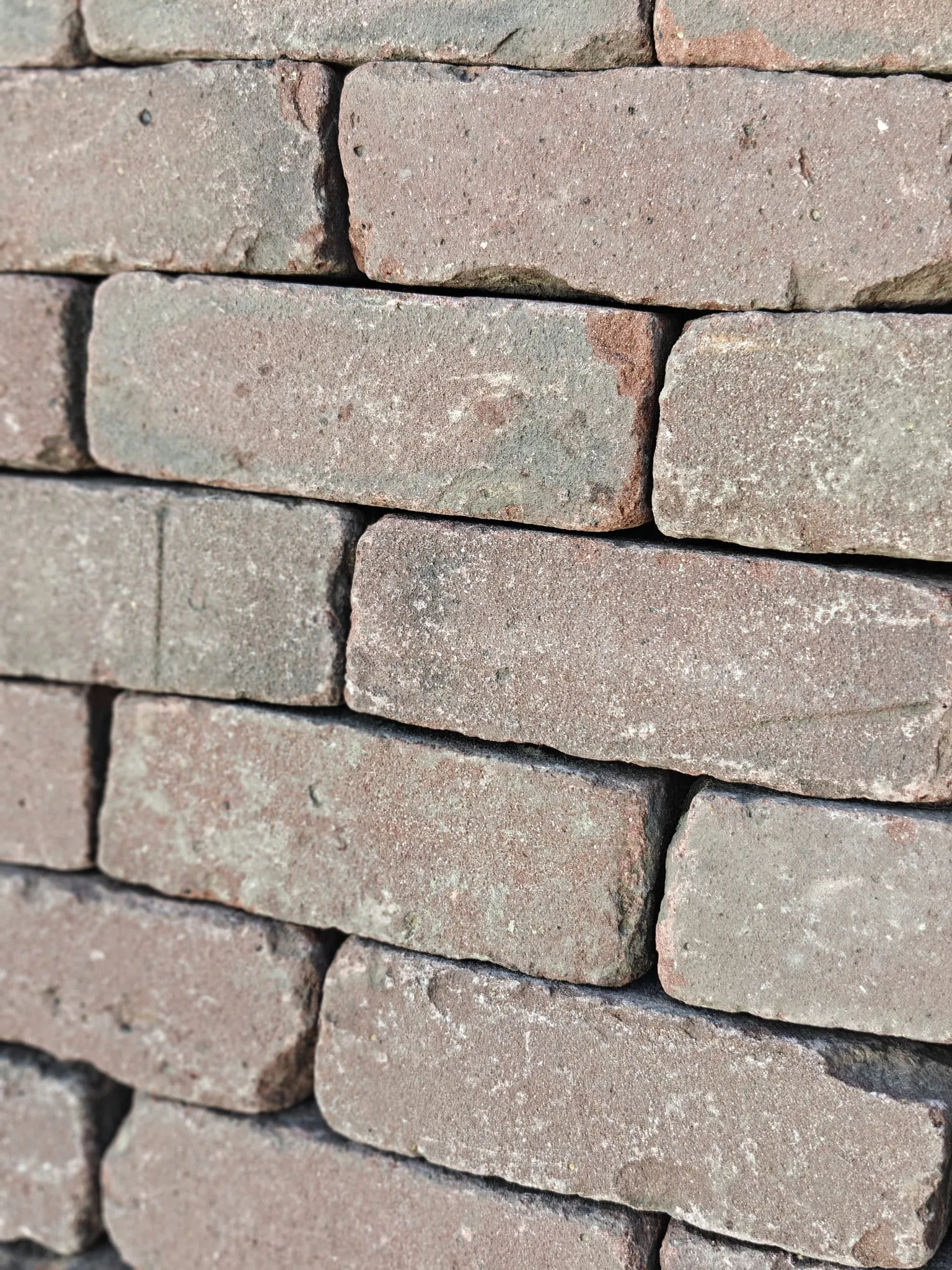 Gebakken dikformaat rood