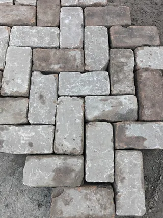 K9 (6).jpeg