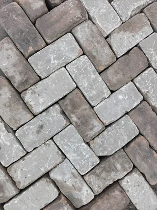K9 (5).jpeg