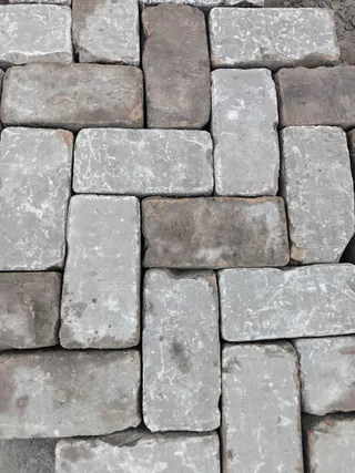 K9 (7).jpeg