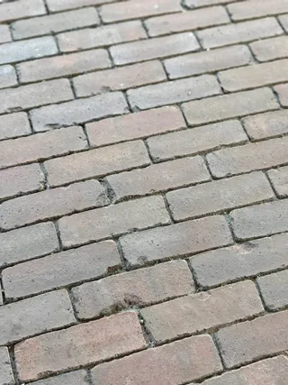 rosa wasserstrich.jpeg