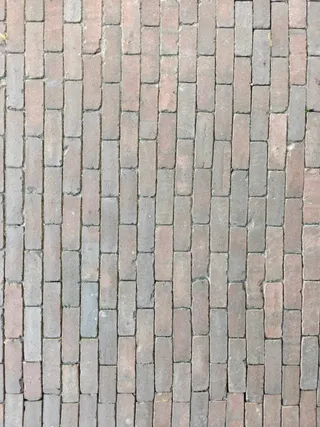 rosawasserstrich (2).jpeg