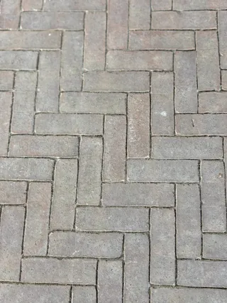 olivia wasserstrich (4).jpeg