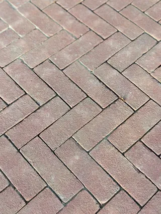 paviona dikformaat (4).jpeg