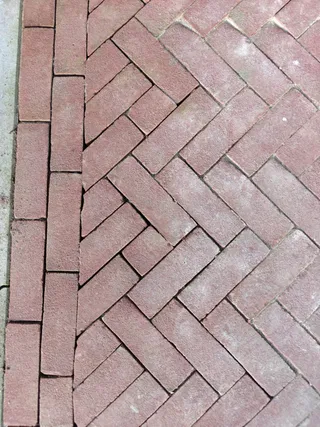 paviona dikformaat (5).jpeg