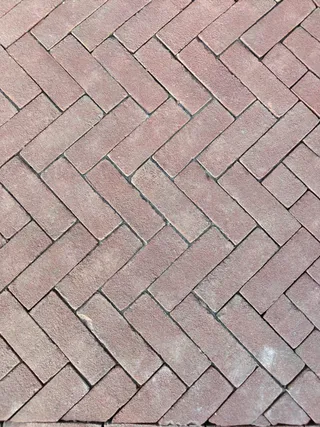 Dikformaat Paviona