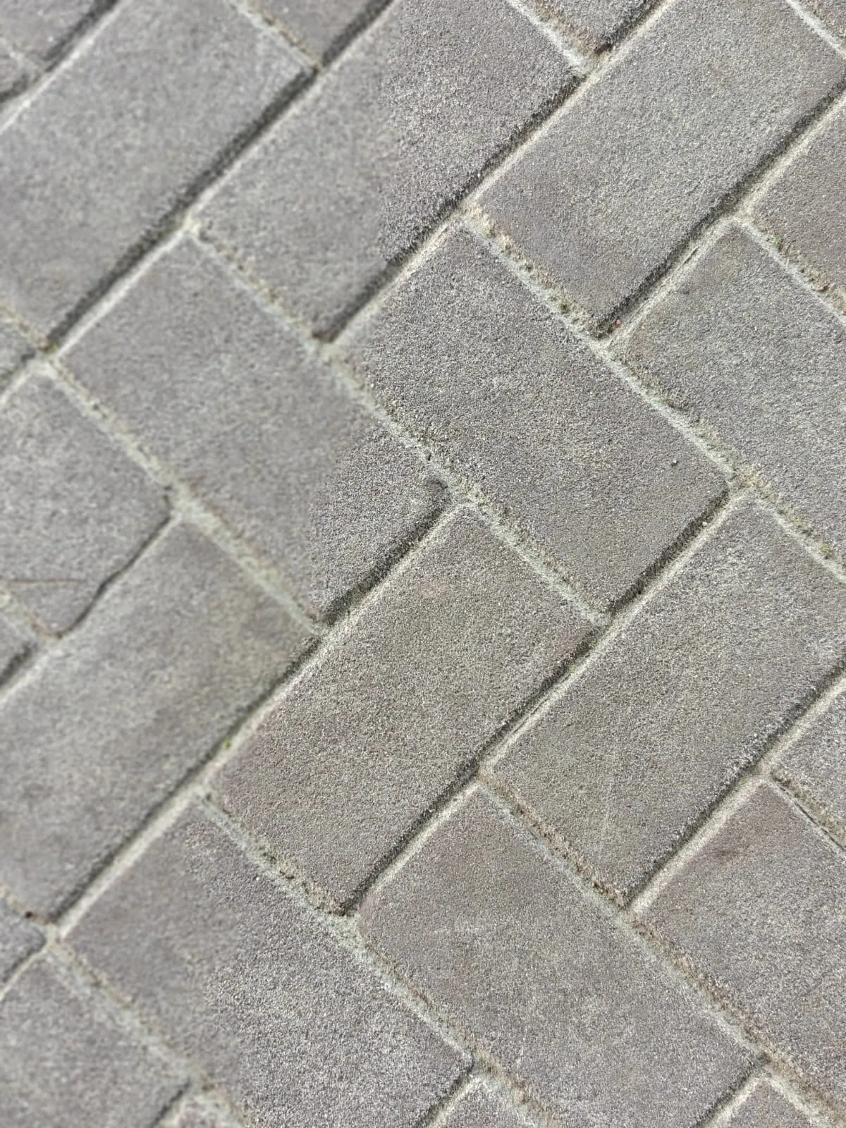 Mastiek KK70