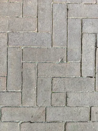 Dikformaat Oliva Wasserstrich